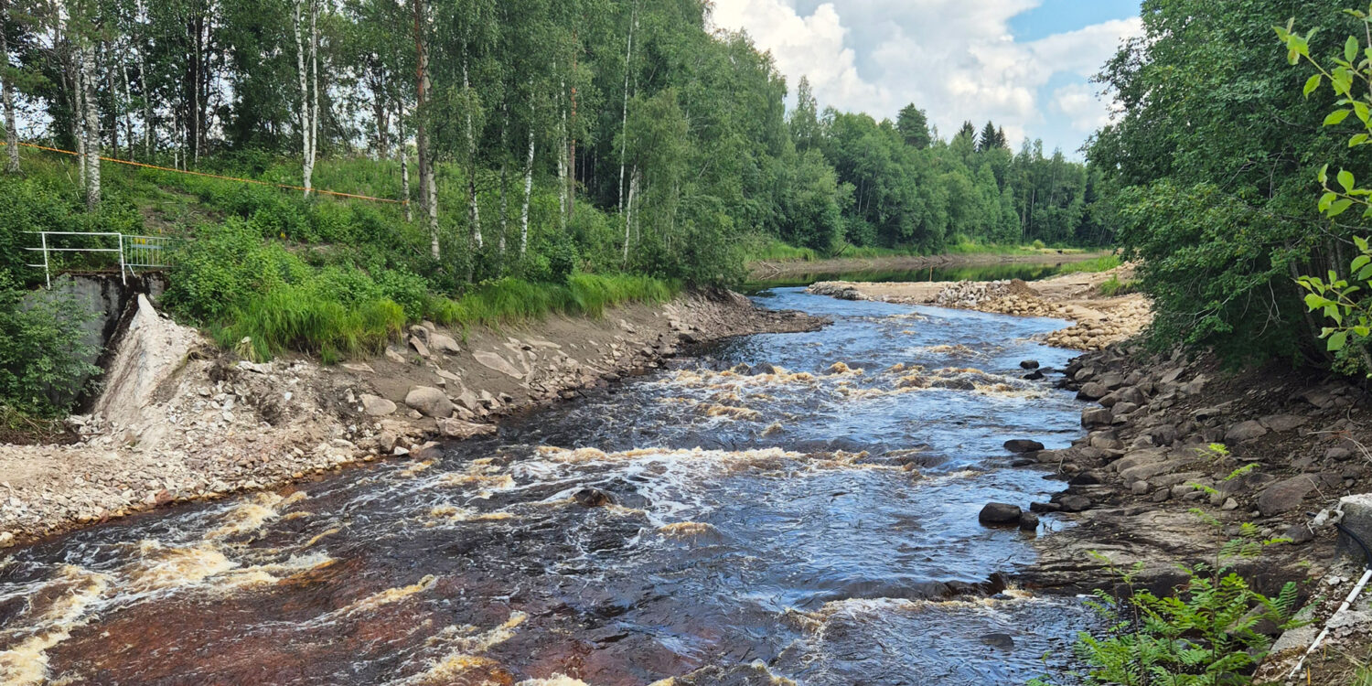 Jyllinkosken vesivoimalaitospato on purettu ja vesi virtaa vapaasti.